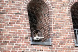 falkenhorst-sankt-antonius-2012-06-23-1-237