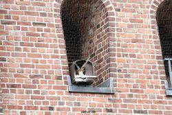 falkenhorst-sankt-antonius-2012-06-23-1-238