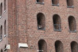 falkenhorst-sankt-antonius-2012-06-23-1-242