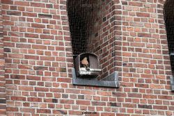 falkenhorst-sankt-antonius-2012-06-23-1-244