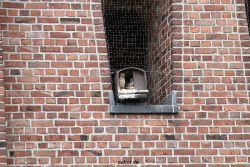 falkenhorst-sankt-antonius-2012-06-23-1-282