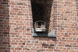 falkenhorst-sankt-antonius-2012-06-23-1-283