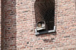 falkenhorst-sankt-antonius-2012-06-23-1-290