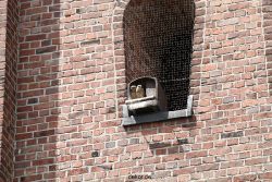 falkenhorst-sankt-antonius-2012-06-23-1-292