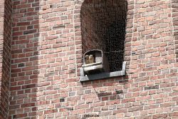 falkenhorst-sankt-antonius-2012-06-23-1-293