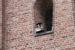 falkenhorst-sankt-antonius-2012-06-23-1-294