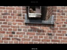falkenhorst-sankt-antonius-2012-06-23-1-296
