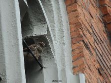 falkenhorst-trinitaskirche-2012-06-12-1-038