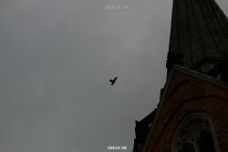 falkenhorst-trinitaskirche-2012-06-12-2-021