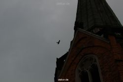 falkenhorst-trinitaskirche-2012-06-12-2-022