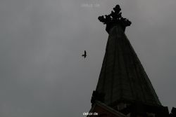 falkenhorst-trinitaskirche-2012-06-12-2-023