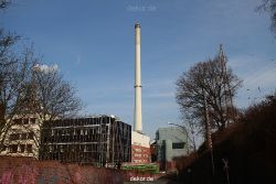 falkenhorst-wuppertal1-140-falkennachbarn-019