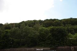 falkenhorst-wuppertal1-2012.06.15-was-geschah-bisher-006