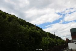 falkenhorst-wuppertal1-2012.06.15-was-geschah-bisher-009