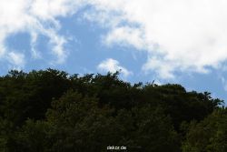 falkenhorst-wuppertal1-2012.06.15-was-geschah-bisher-010