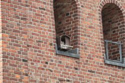 falkenhorst-wuppertal3-st-antonius-2012.06.12-4-junge-falken-014