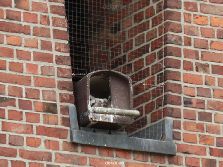 falkenhorst-wuppertal3-st-antonius-2012.06.12-fuetterung-001