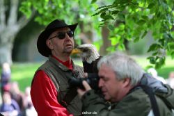 grugapark-greifvogelschau-2012-04-004