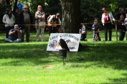 grugapark-greifvogelschau-2012-04-017