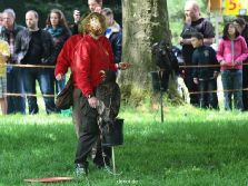 grugapark-greifvogelschau-2012-04-018
