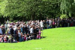 grugapark-greifvogelschau-2012-04-019