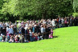 grugapark-greifvogelschau-2012-04-020