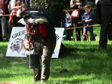 grugapark-greifvogelschau-2012-04-022
