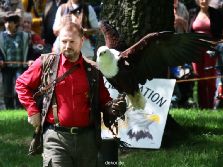 grugapark-greifvogelschau-2012-04-023