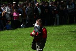 grugapark-greifvogelschau-2012-04-024