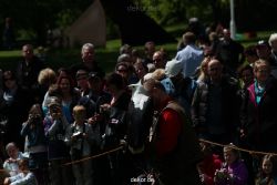 grugapark-greifvogelschau-2012-04-026