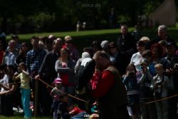 grugapark-greifvogelschau-2012-04-027