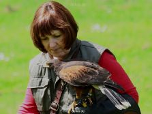 grugapark-greifvogelschau-2012-04-028