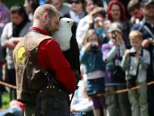 grugapark-greifvogelschau-2012-04-029