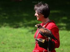 grugapark-greifvogelschau-2012-04-030
