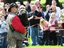grugapark-greifvogelschau-2012-04-033