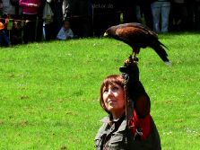 grugapark-greifvogelschau-2012-04-034
