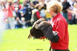 grugapark-greifvogelschau-2012-04-057