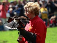 grugapark-greifvogelschau-2012-04-063