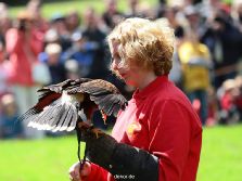 grugapark-greifvogelschau-2012-04-064
