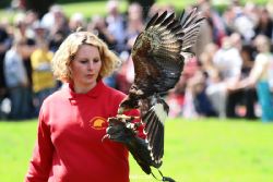 grugapark-greifvogelschau-2012-04-065