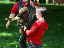 grugapark-greifvogelschau-2012-04-068
