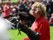 grugapark-greifvogelschau-2012-04-074