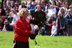 grugapark-greifvogelschau-2012-04-081