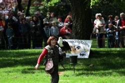 grugapark-greifvogelschau-2012-04-103