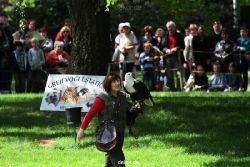 grugapark-greifvogelschau-2012-04-104