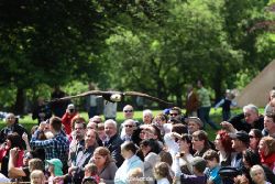 grugapark-greifvogelschau-2012-04-111