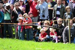 grugapark-greifvogelschau-2012-04-113