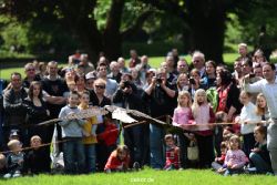 grugapark-greifvogelschau-2012-04-143