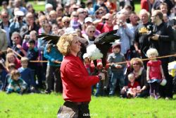grugapark-greifvogelschau-2012-04-147