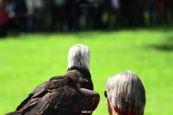 grugapark-greifvogelschau-2012-04-157